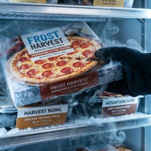 Freezer safe product labels